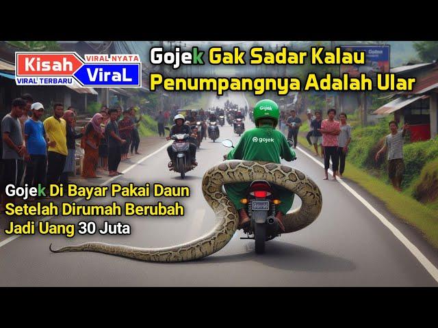 Kisah Viral !! Gojek Gak Sadar Kalau Dapat Penumpang Ular Yang Memberinya Uang 30 Juta