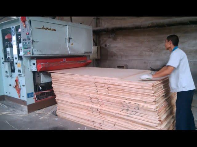 sander machine, plywood sanding machine/wood veneer sander