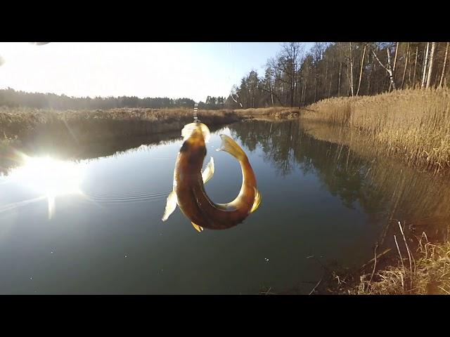 Рыбалка в декабре по открытой воде на боковой кивок супер без мотылку, Лесотку.