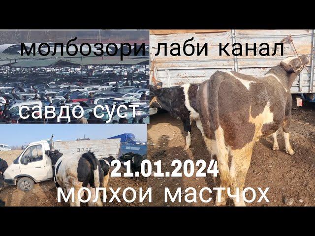 молбозори лаби канал Ш.хучанд