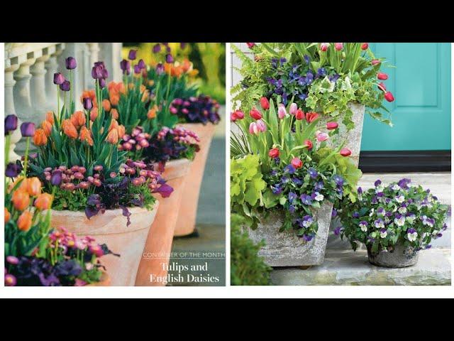 Идеи для дачи и сада! 100 прекрасных идей! DIY#ландшафтныйдизайн#огород#садp #greenhouse