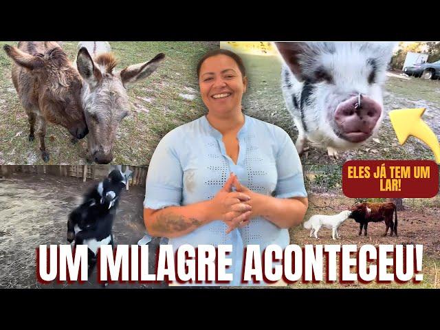 UM MILAGRE ACONTECEU | DEUS ESTÁ ESCUTANDO TODAS AS MINHAS ORAÇÕES