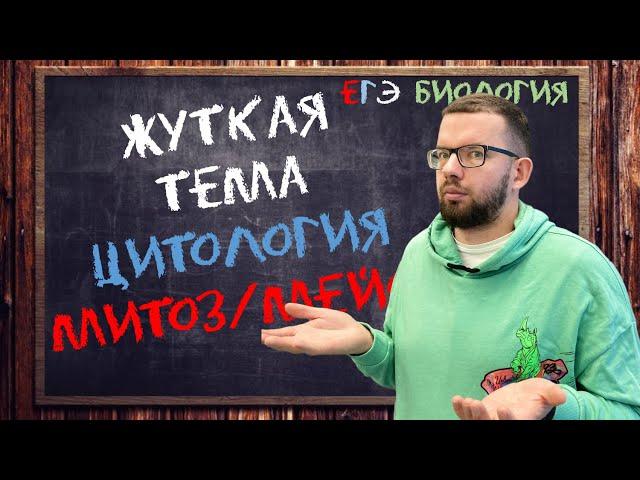 Жуткая тема – МИТОЗ/МЕЙОЗ | ЦИТОЛОГИЯ ЕГЭ БИОЛОГИЯ