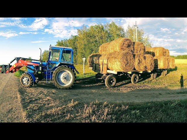 Вывозим сено по новому. Трактор МТЗ-82. 26 рулонов за раз и это не предел!!!