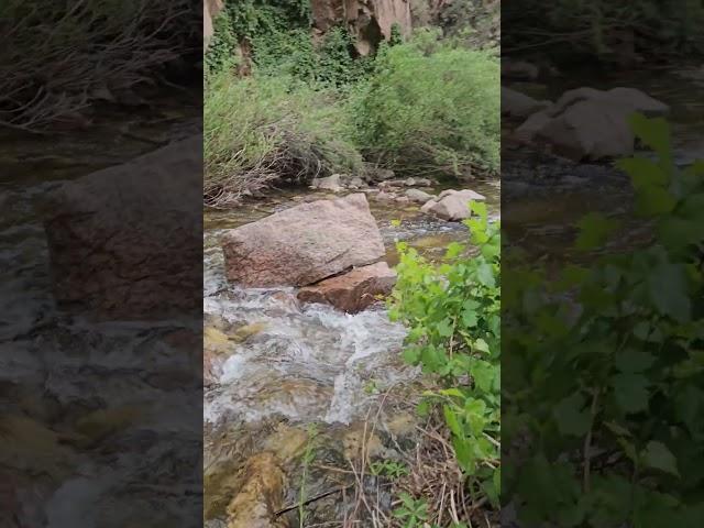 #jemez #mountains #newmexico #newmexicotravel #riverside #fyp #reels #shorts #asmr