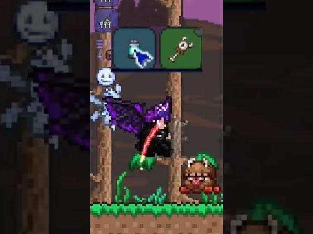  EL MEJOR EQUIPAMIENTO DE VANIDAD EN TERRARIA 