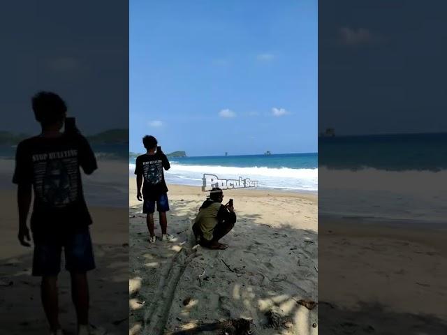 Ngintip orang pacaran disemak semak