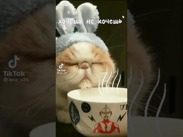 7 марта 2025 г.