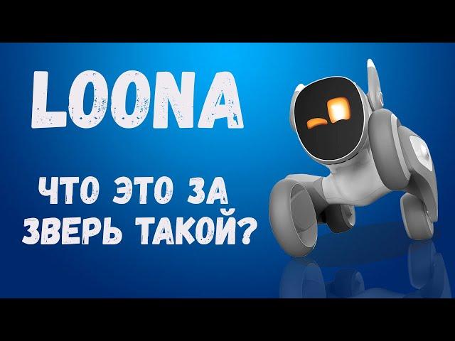 Что произойдет, если Вы принесете Робота Loona домой?