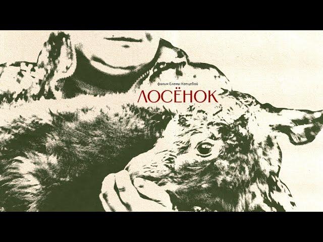 Документальный фильм "Лосёнок" (реж. Е. Копцева) // Documentary film The Elk Calf ( E. Koptseva)