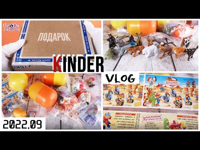 Долгожданный Kinder vlog: закрытые серии, варианты вкладышей, подарок от подписчицы