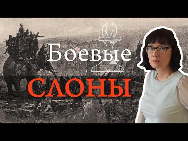 История слонов на поле брани и на шахматной доске