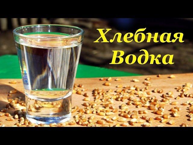 Хлебная водка, рецепт браги на диких дрожжах пшеницы