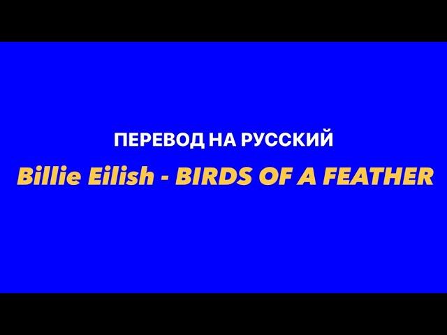 Billie Eilish - BIRDS OF A FEATHER / Перевод на русский