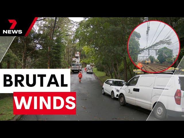 Brutal winds wreak havoc across Sydney | 7NEWS