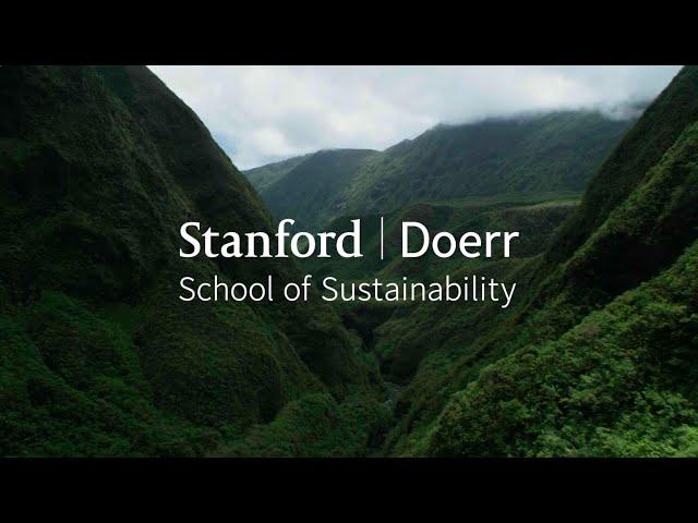 The Stanford Doerr School of Sustainability: Our bold commitment