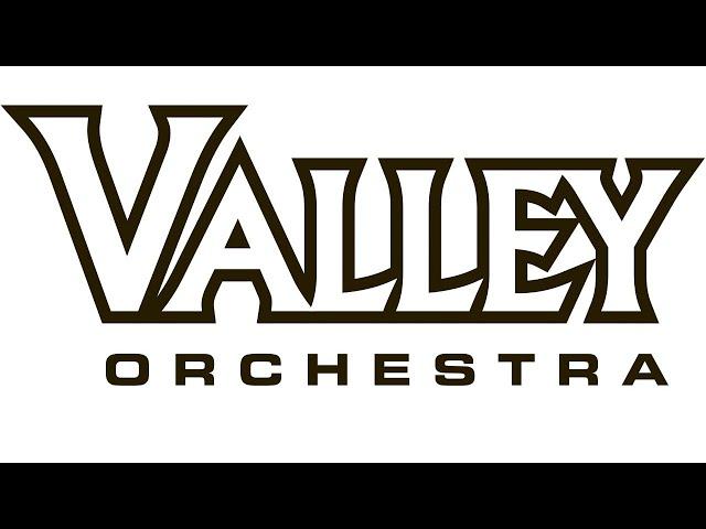 VHS and VSW Orchestra