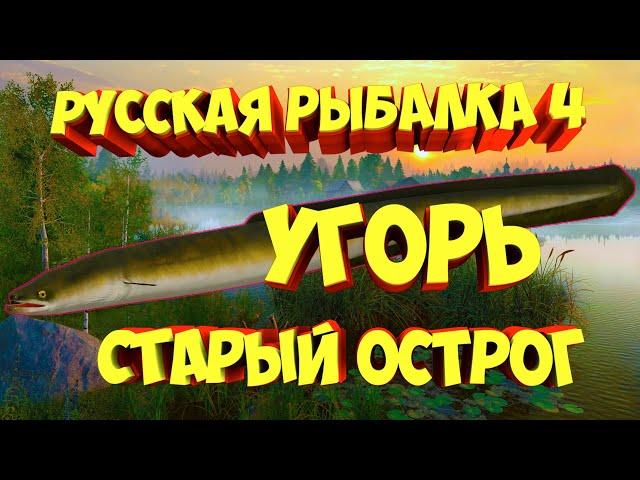 русская рыбалка 4 - Угорь Линь озеро Старый Острог - рр4 Алексей Майоров