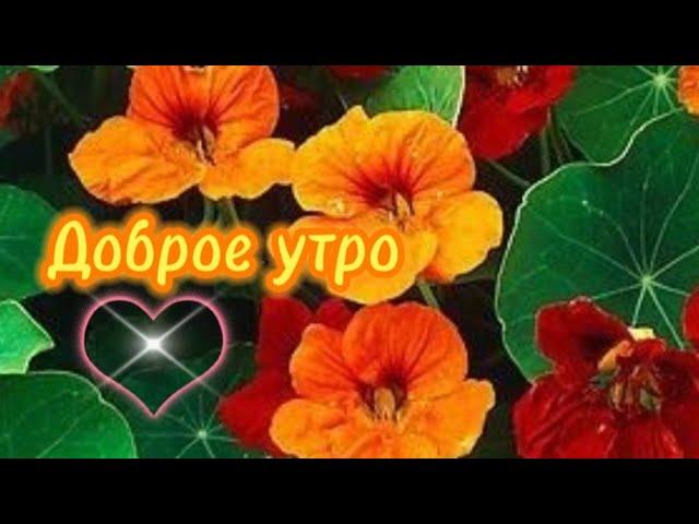 Доброе утро. Самые искренние пожелания  удачи  в этот день.