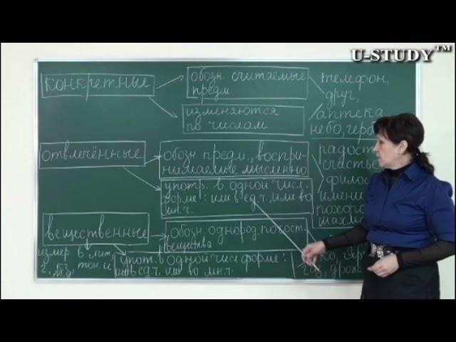 Подготовка к ЕНТ: Группа существительных по значению (конкретные и отвлечённые, вещественные)