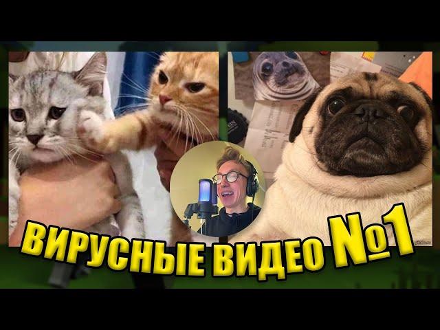 ВИРУСНЫЕ ВИДЕО / Сборник самые смешные моменты №1