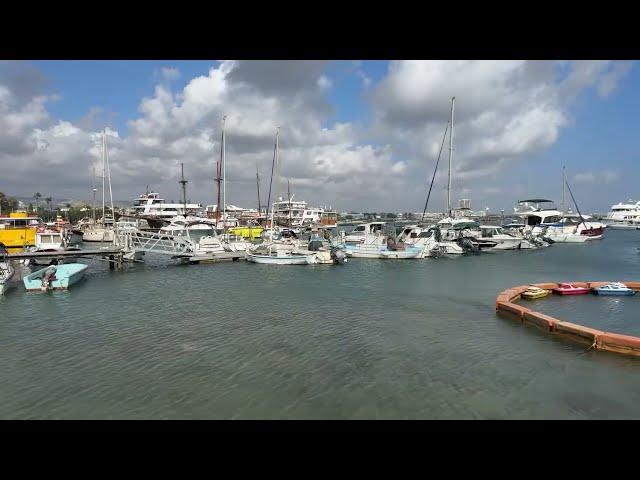 Lifes Worldwide Adventures is live from Paphos Harbour on Cyprus Island