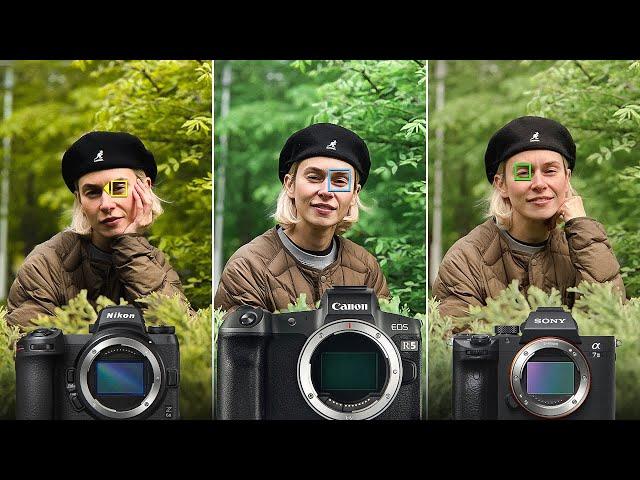 Nikon vs Canon vs Sony – Какую Камеру Купить Начинающему Фотографу?