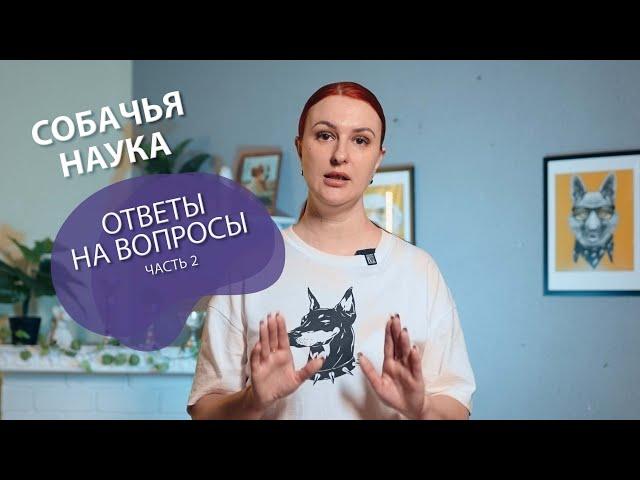 ОТВЕТЫ НА ВОПРОСЫ - ЧАСТЬ 2. Как отучить щенка кусаться, ставить лапы и прыгать на людей?