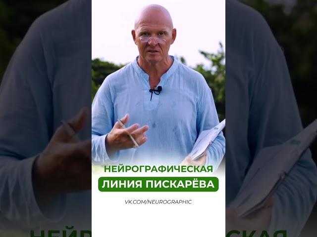 Линия Пискарёва / Нейрографика