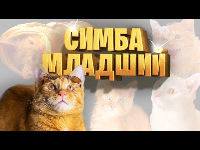 ЛУЧШИЕ ВИДЕО Симбочки Младшего!