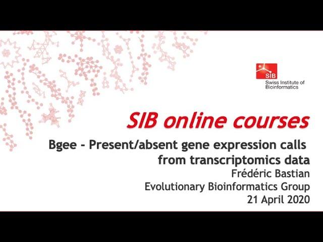 Bgee - Present/absent gene expression calls from transcriptomics data