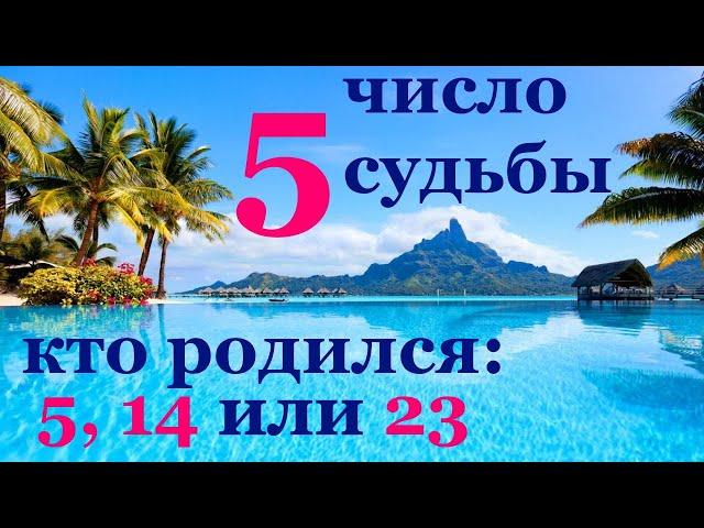 Число судьбы 5. Характер всех, кто родился 5, 14, и 23 числа любого месяца.