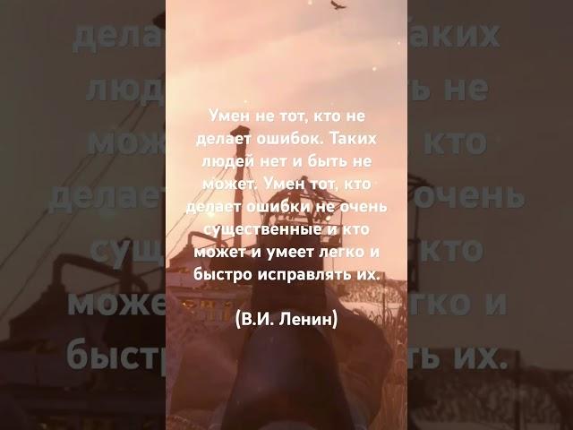 цитаты  №1 #music #stalker #stalker2