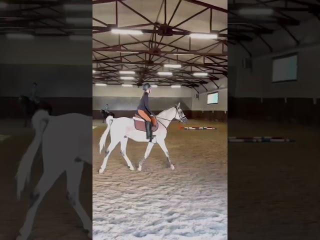 Получилось попасть в бит?) #рекомендации #horse #capcut #music #лошади #конныйспорт