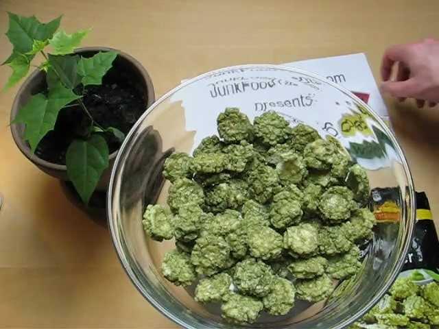 LIDL Vitasia Wasabi Cracker
