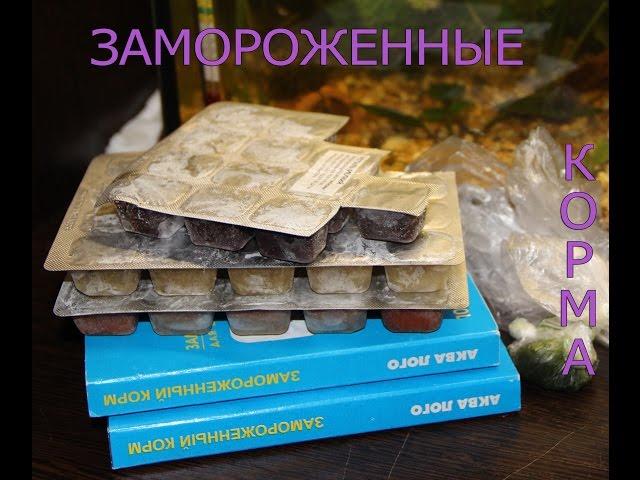 Замороженные корма для аквариумных рыбок. Часть 2