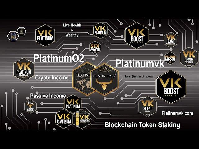 PlatinumO2 Crypto Token Road Map Platinumvk