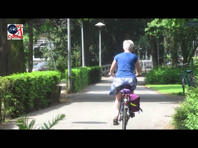 Summer cycling in the Netherlands [267]