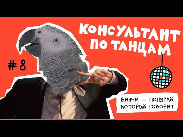 Попугай Винчи — знаменитый консультант по танцам. Посмотрите у кого же он учится сам!