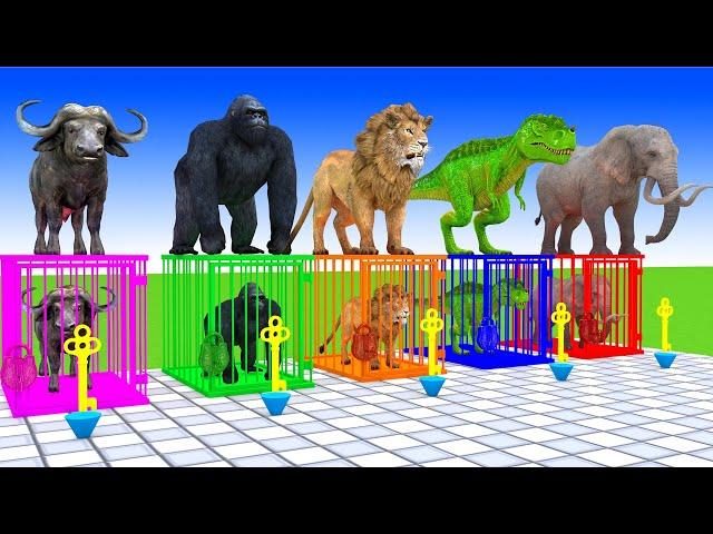 Cow Elephant Lion Dinosaur Gorilla Guess The Right Key ESCAPE ROOM CHALLENGE Animals Cage Game