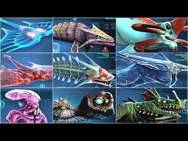 ALL LEVIATHAN & ALL CREATURE IN SUBNAUTICA