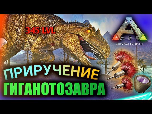 САМОЕ ЛЕГКОЕ ПРИРУЧЕНИЕ ГИГАНОТОЗАВРА в ARK Mobile | ark survival evolved, taming, Арк Мобайл, гига