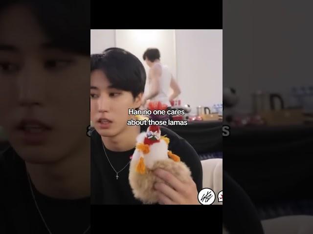 Sorry han  #han #straykids#hanjisung #bangchan #kpop | SUBSCRIBE FOR MORE