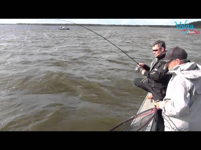 Спиннинг Fox Rage Terminator Shad Jigger Rapid 240 см 20-60