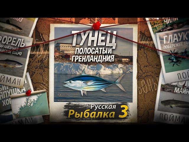 "Мутант" Тунец Полосатый. Гренландия. Русская Рыбалка 3.