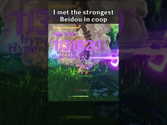 I MET THE STRONGEST BEIDOU IN COOP