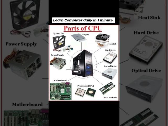 Day 31 - Parts of CPU  - Hard disk, Motherboard, Power Supply, RAM and Processors #cpu #students