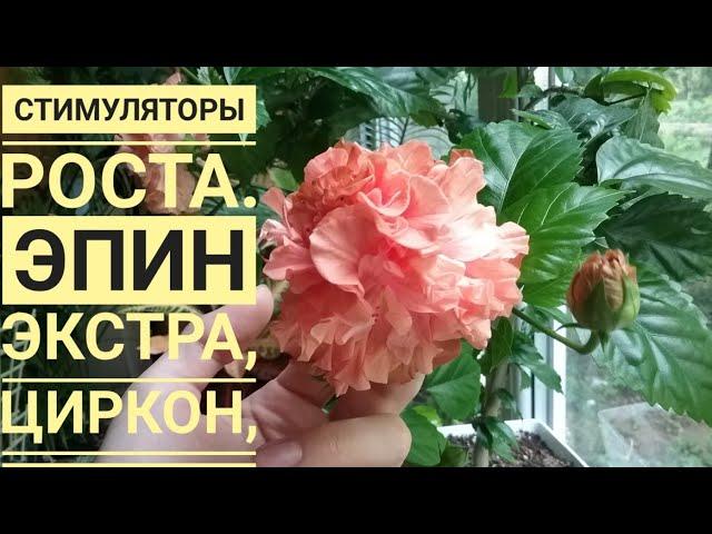 Стимуляторы роста. Для чего и как применять. Эпин экстра, Циркон, НВ-101.