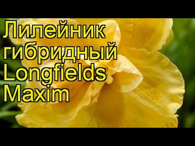 Лилейник гибридный Лонгфилдс Максим. Краткий обзор, описание hemerocallis Longfields Maxim