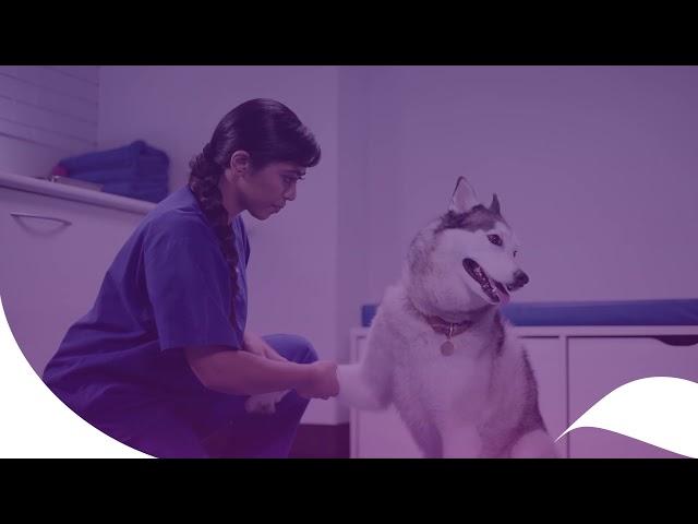 UQ Vet Science